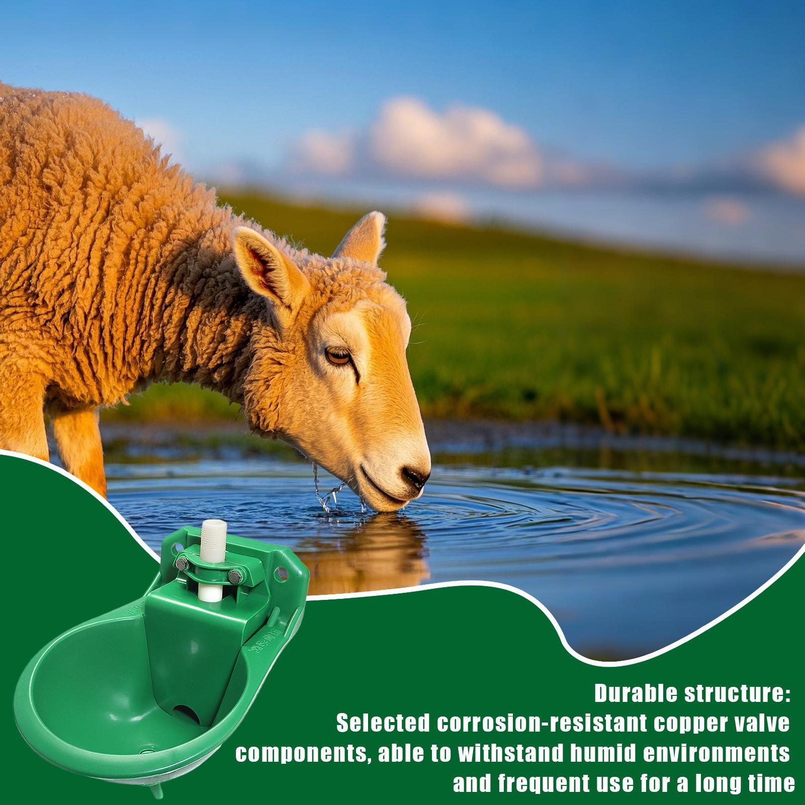 Gardening Tools Women - Horse Water Drinker Bowl With Copper