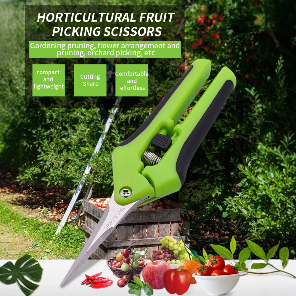 Gardening Tools Uses - ：Pointed Fruit Picking Shears 1Pc Spring