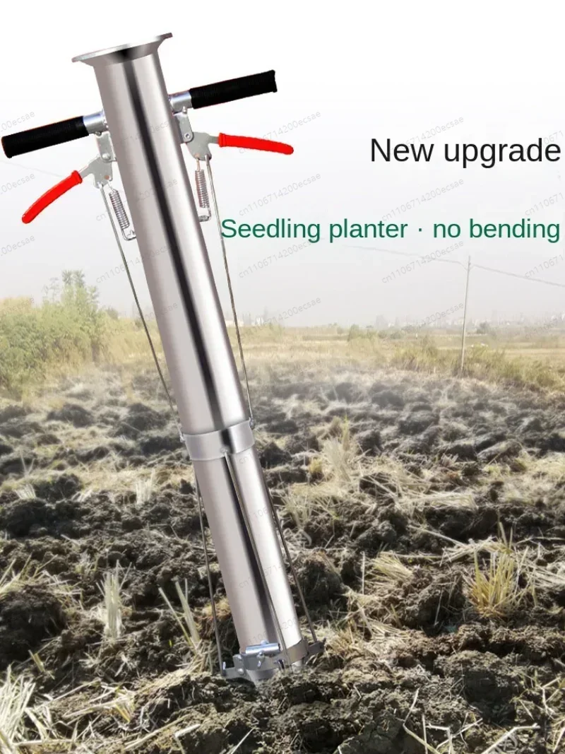 Seedling Transplanter Vegetabl - Gardening Tools Women recension och pris