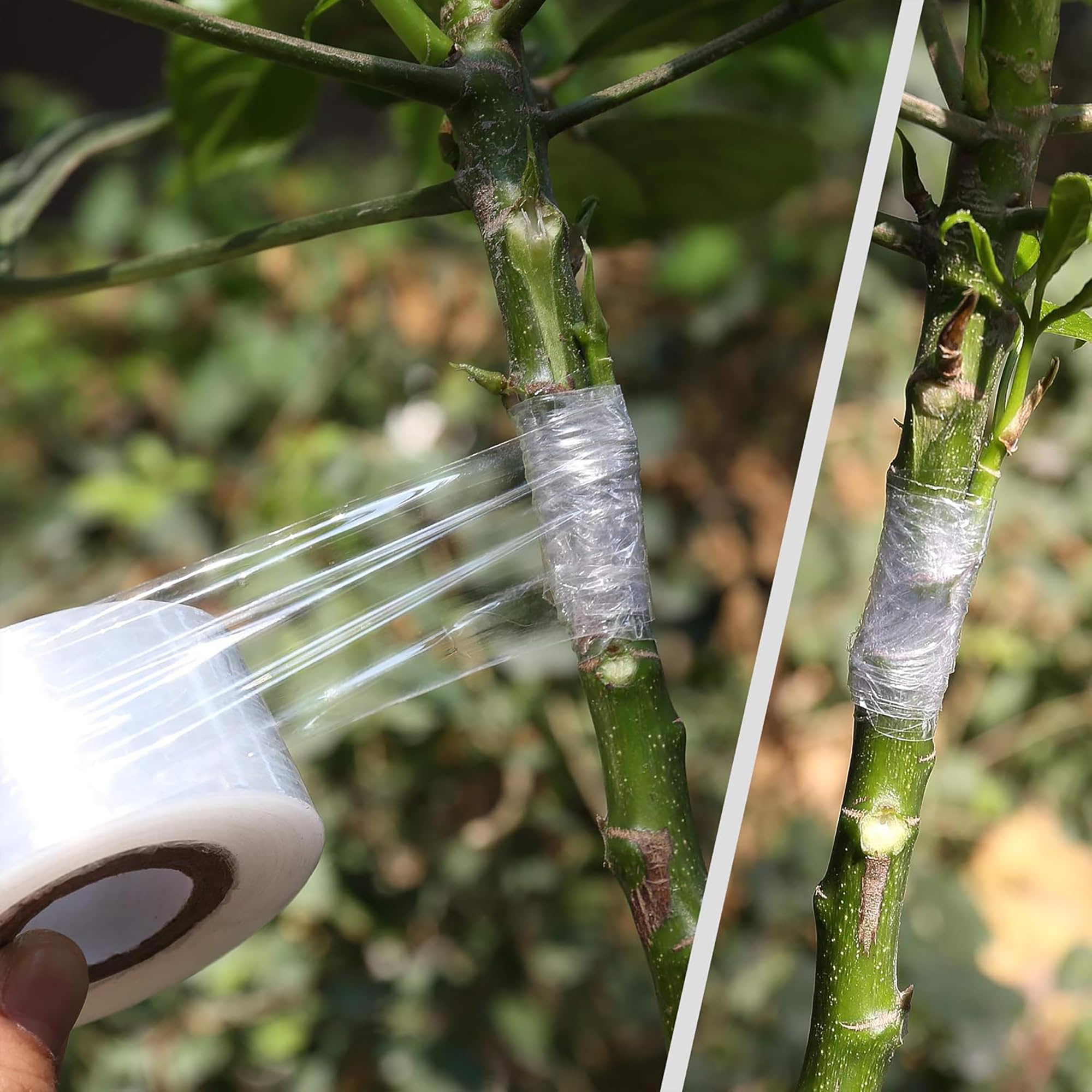 Easy Use Biodegradable Self Ad - Gardening Tools Uses recension och pris