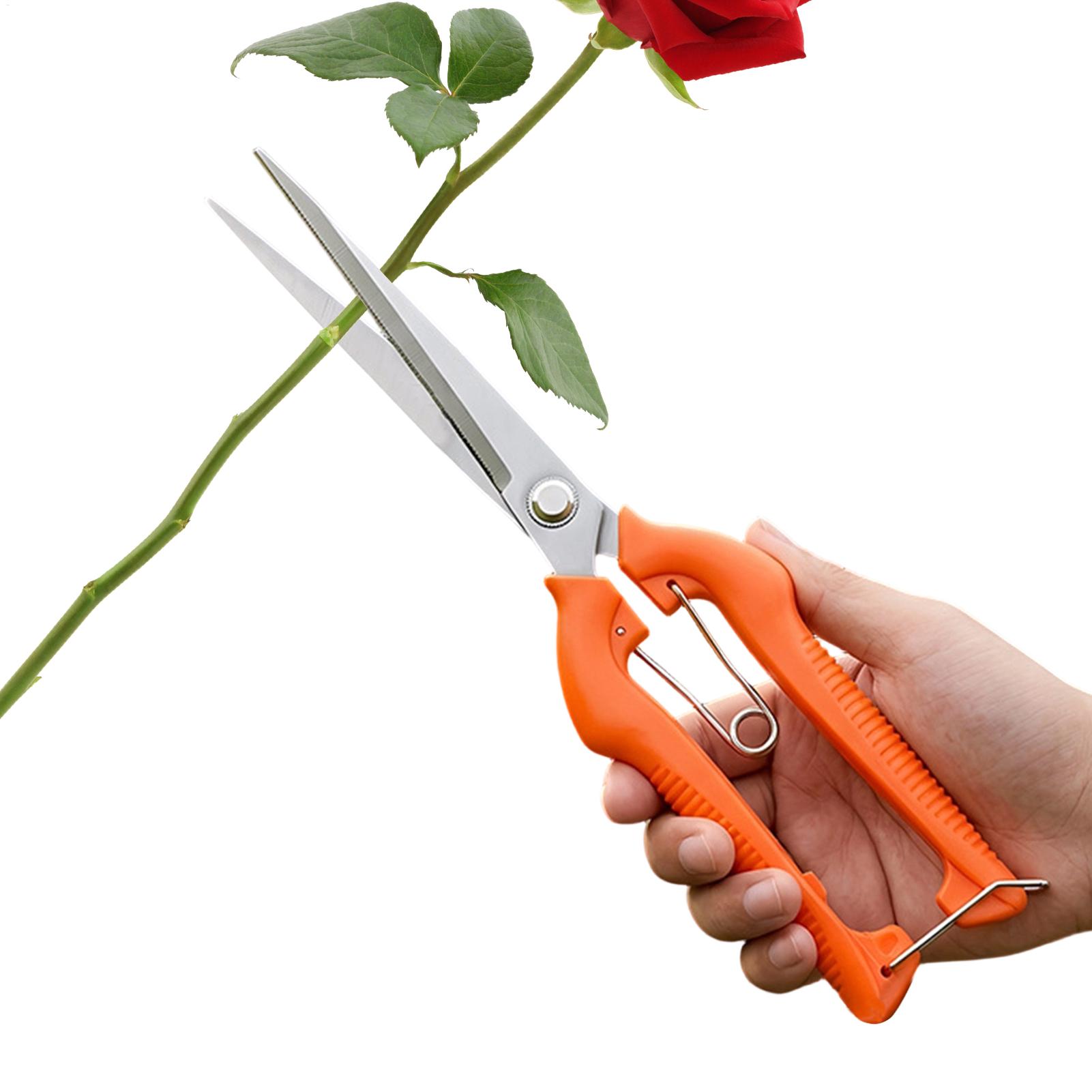 Pruning Shears Grape Scissors  - Gardening Tools Women recension och pris