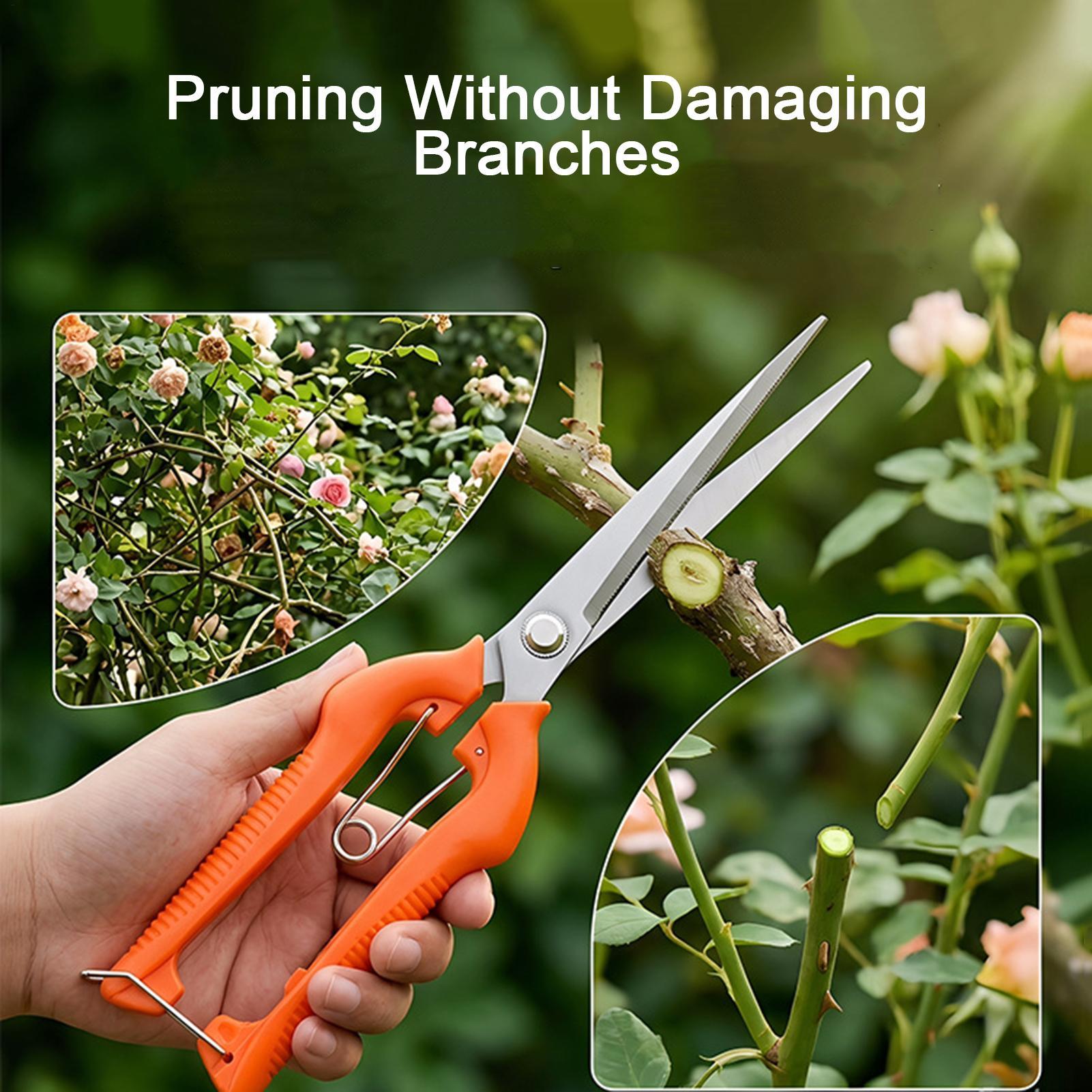 Pruning Shears Grape Scissors  - Gardening Tools Women recension och pris