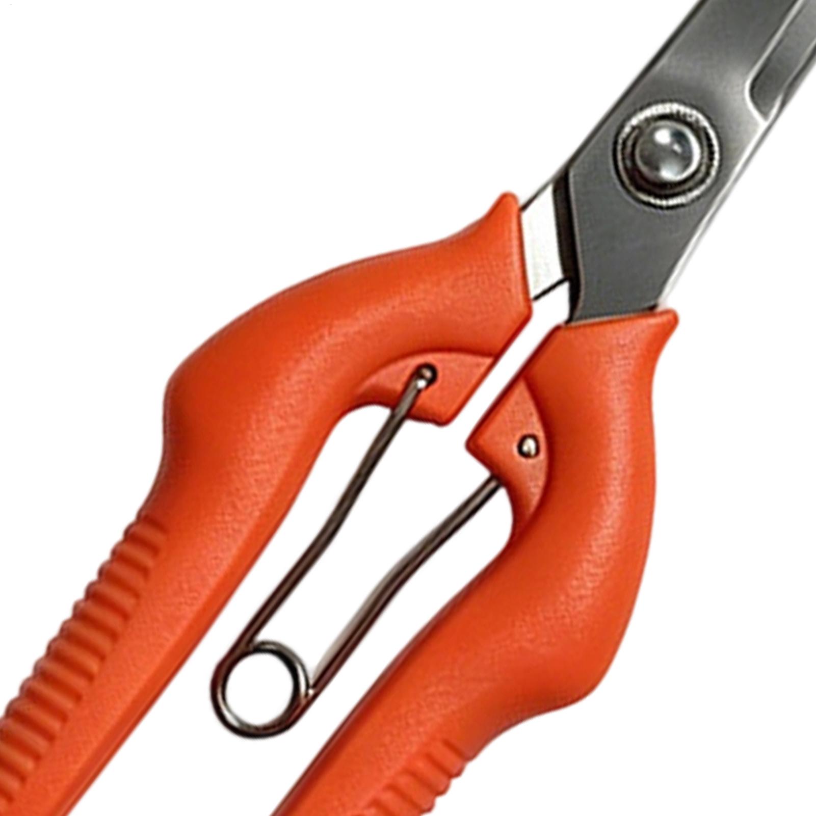 Pruning Shears Grape Scissors  - Gardening Tools Women recension och pris