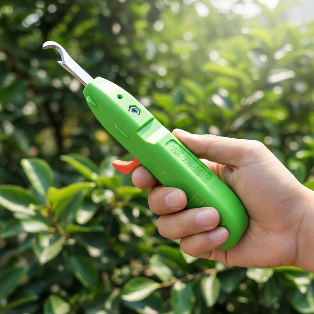 Fruit And Vegetable Picking Sh - Gardening Tools Vegetables recension och pris