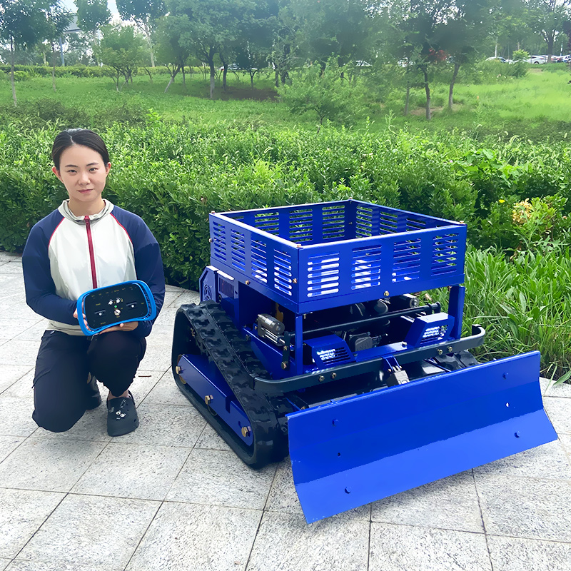 Customized Remote Control Lawn - Gardening Tools China recension och pris