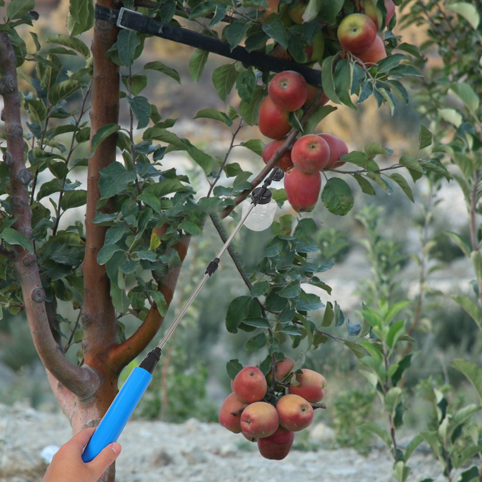 Hand Pollination Sprayer For F - Gardening Tools Uses recension och pris