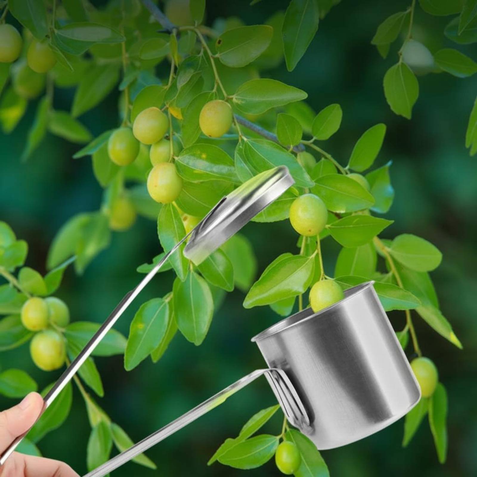 Cup Fruit Picker Stainless Ste - Gardening Tools Uses recension och pris