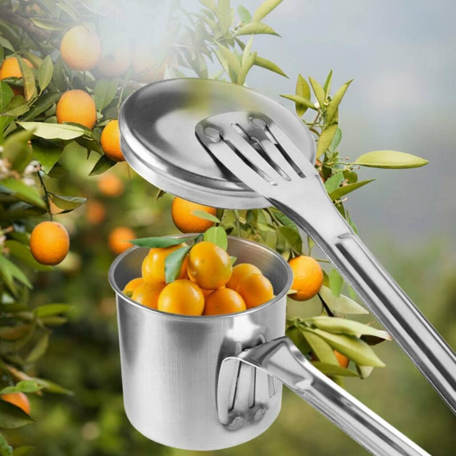Cup Fruit Picker Stainless Ste - Gardening Tools Uses recension och pris
